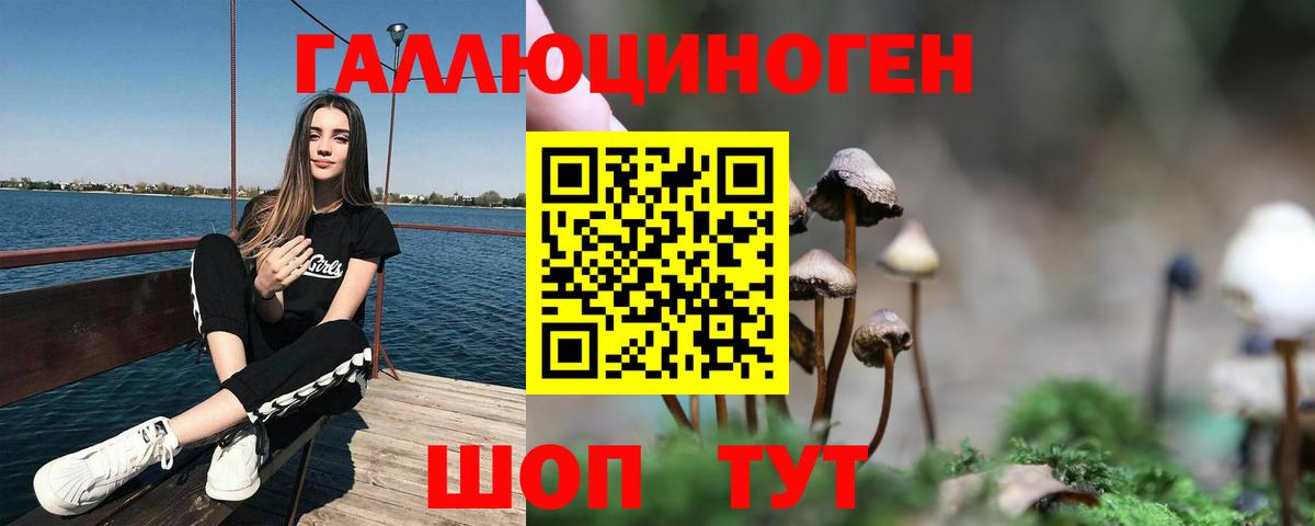 Узловая  Псилоцибиновые грибы GOLDEN TEACHER  Псилоцибиновые грибы Cubensis  Вход с VPN 