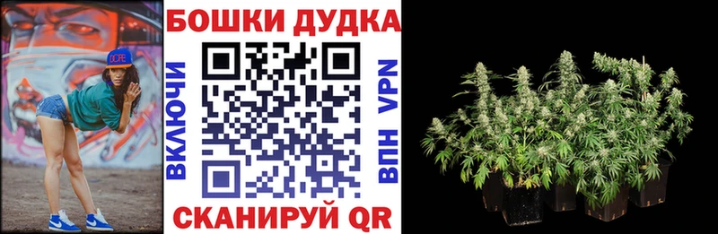 где найти наркотики Узловая Конопля Amnesia